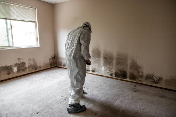 Best Basement Mold Removal  in Sanger, CA